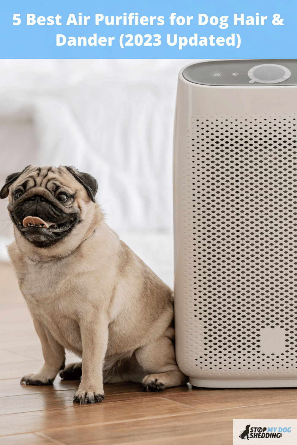 5 Best Air Purifiers for Dog Hair & Dander (2023 Updated)