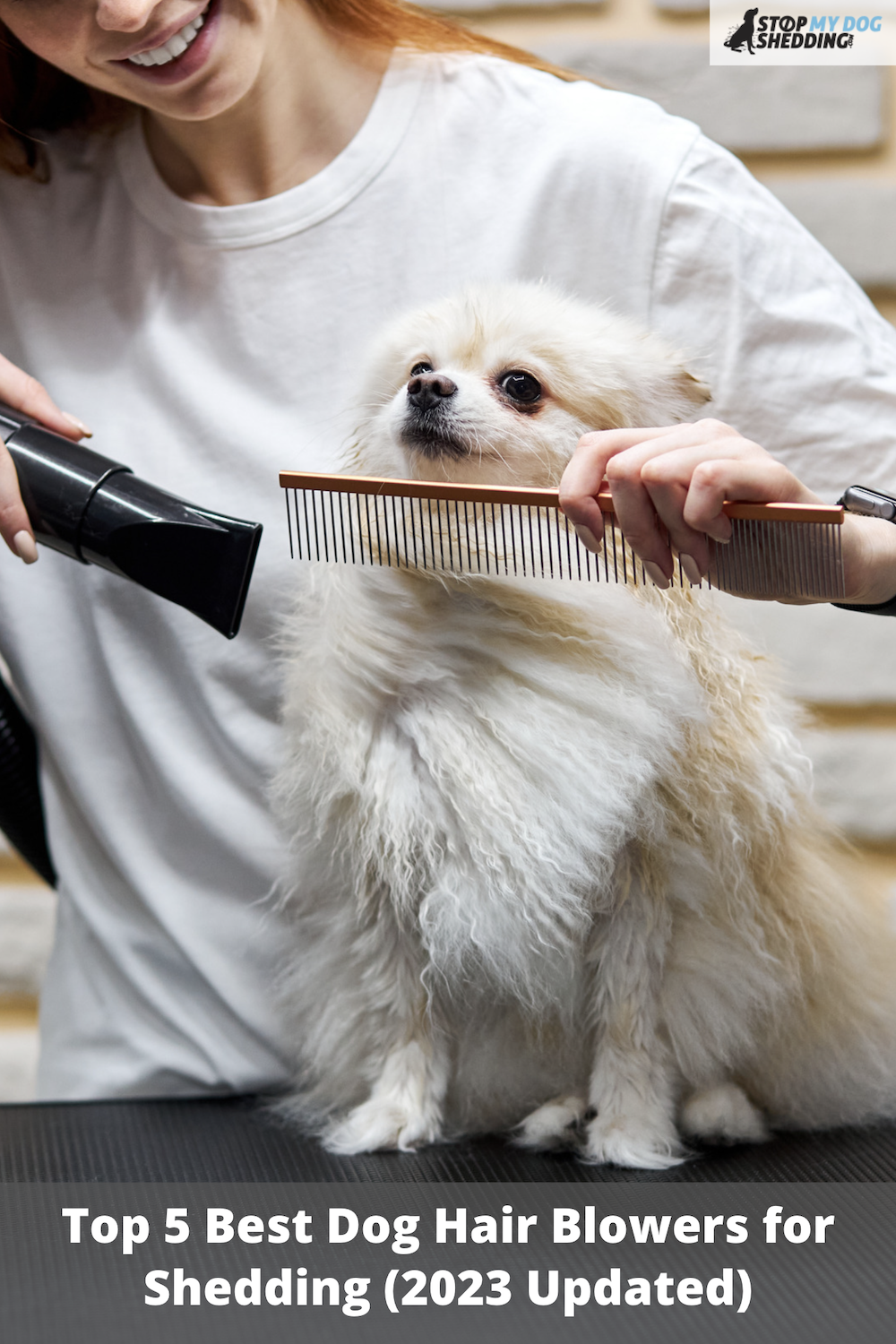 Top 5 Best Dog Hair Blowers for Shedding (2023 Reviews & Guide)