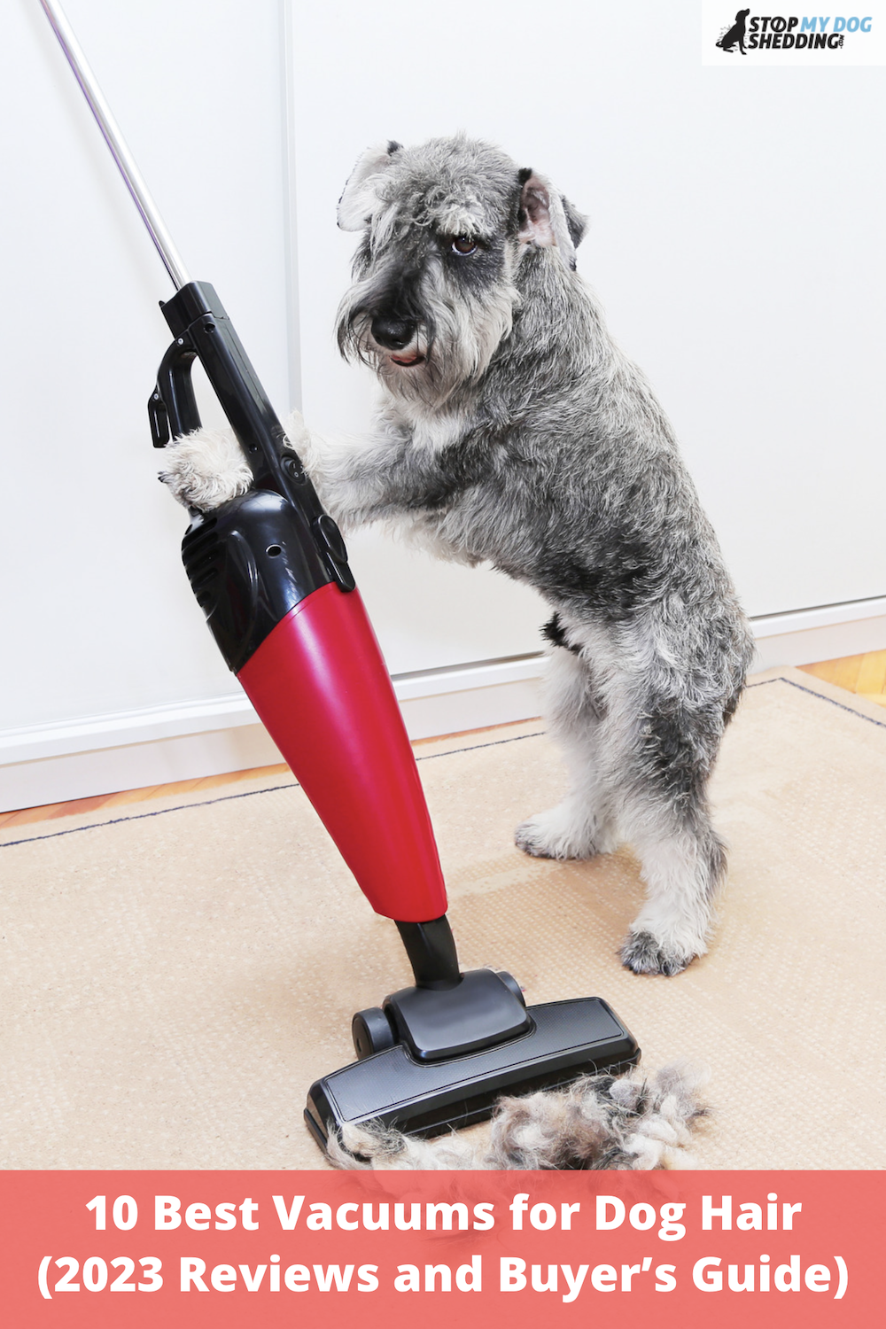 10 Best Vacuums for Dog Hair (2023 Reviews and Buyer’s Guide)