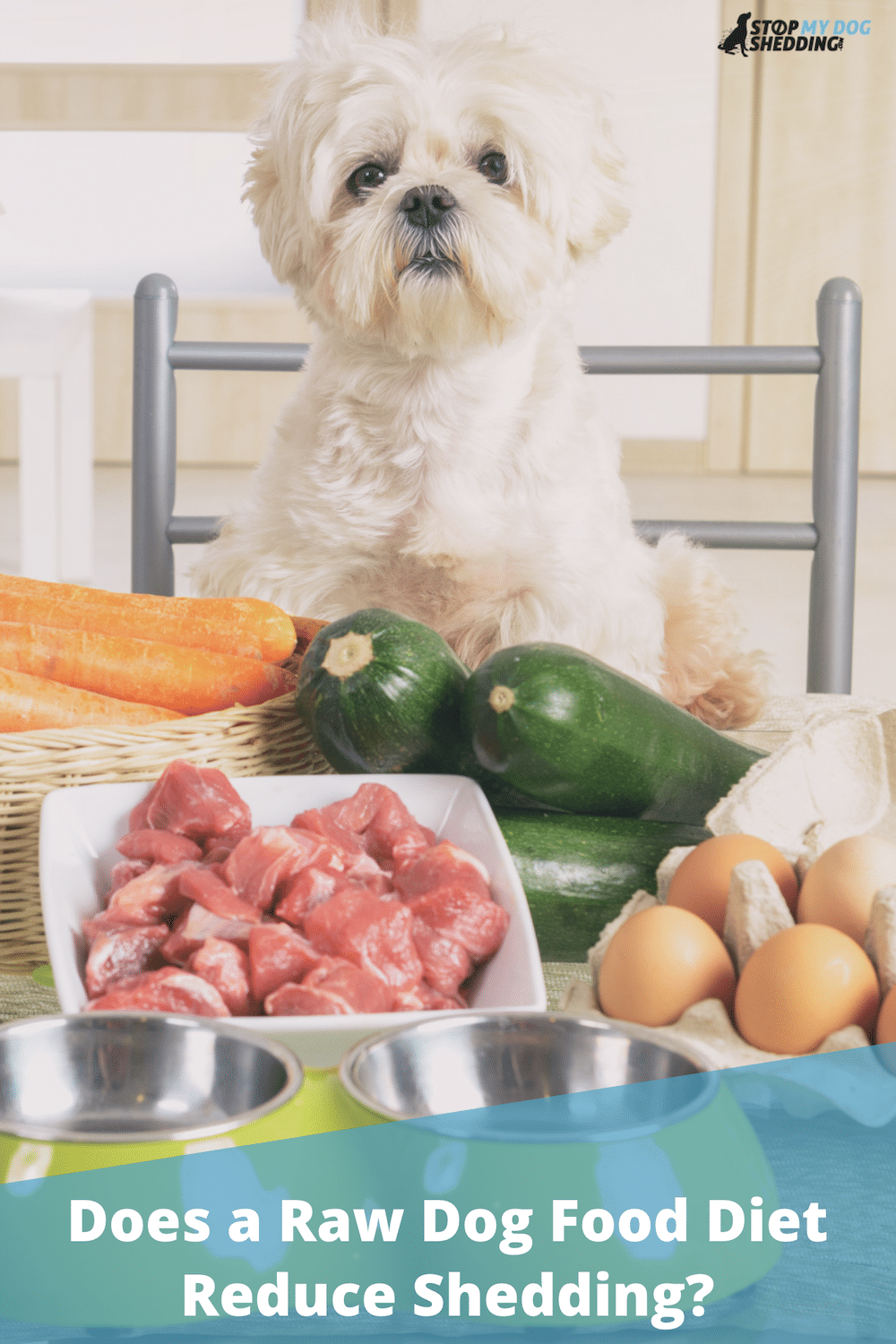 Does a Raw Diet Reduce Dog Shedding?