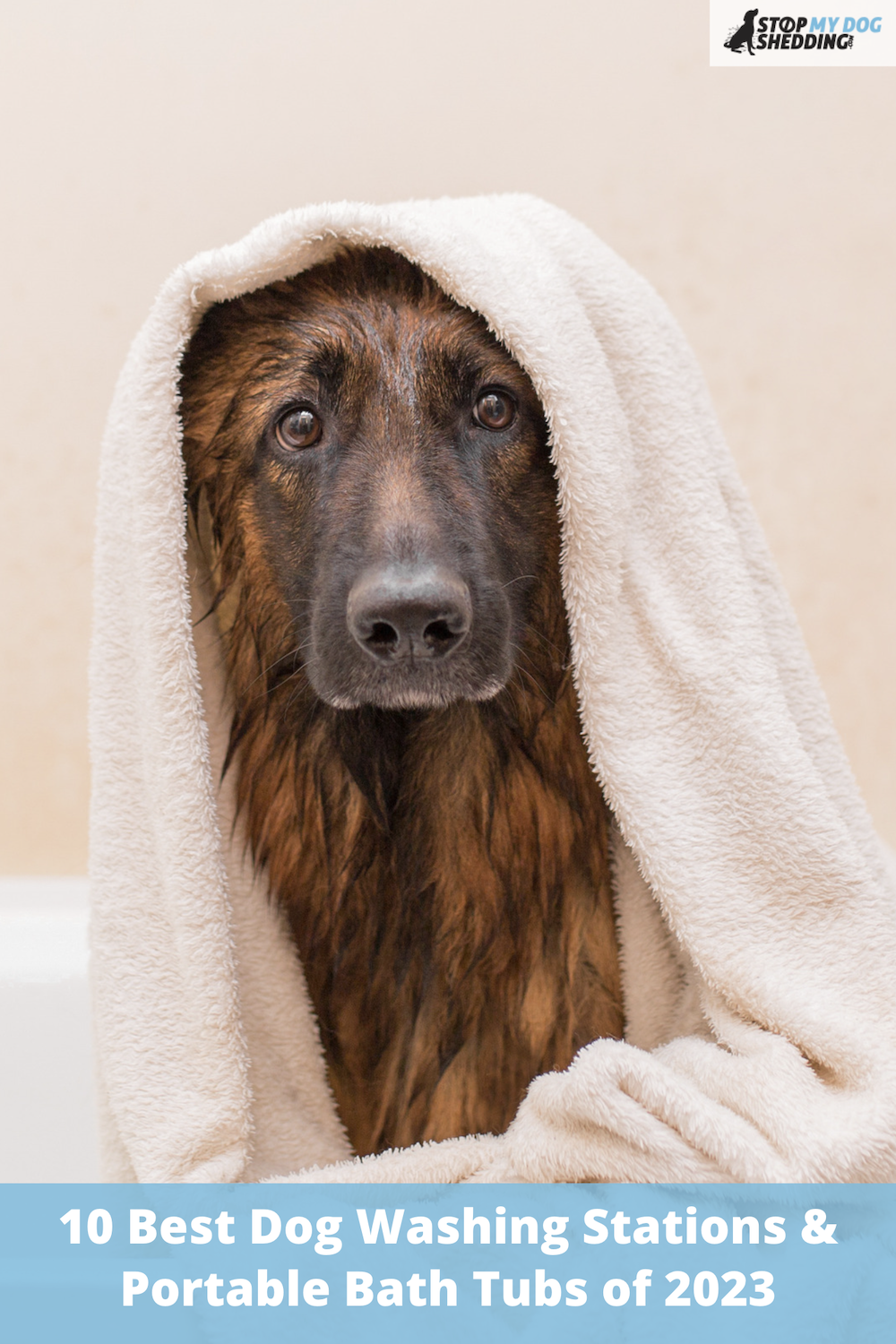 10 Best Dog Washing Stations & Portable Dog Bath Tubs of 2023